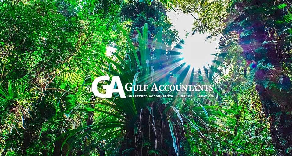 Gulf Accountants, Chartered Accountans, Finance & Taxation Specialists, Waiheke Island, New Zealand, Website Photographs by Matthew King, www.tehopuroaphotography.com