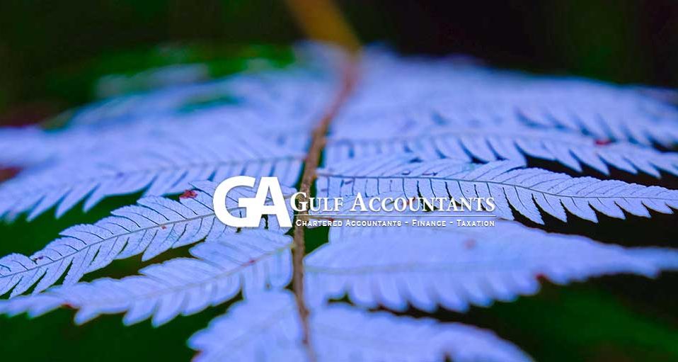 Gulf Accountants, Chartered Accountans, Finance & Taxation Specialists, Waiheke Island, New Zealand, Website Photographs by Matthew King, www.tehopuroaphotography.com