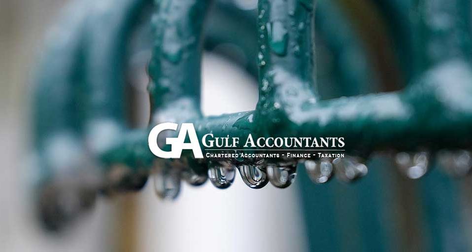 Gulf Accountants, Chartered Accountans, Finance & Taxation Specialists, Waiheke Island, New Zealand, Website Photographs by Matthew King, www.tehopuroaphotography.com